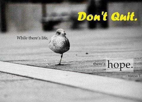 Quote Never Give Up Hope Quotes